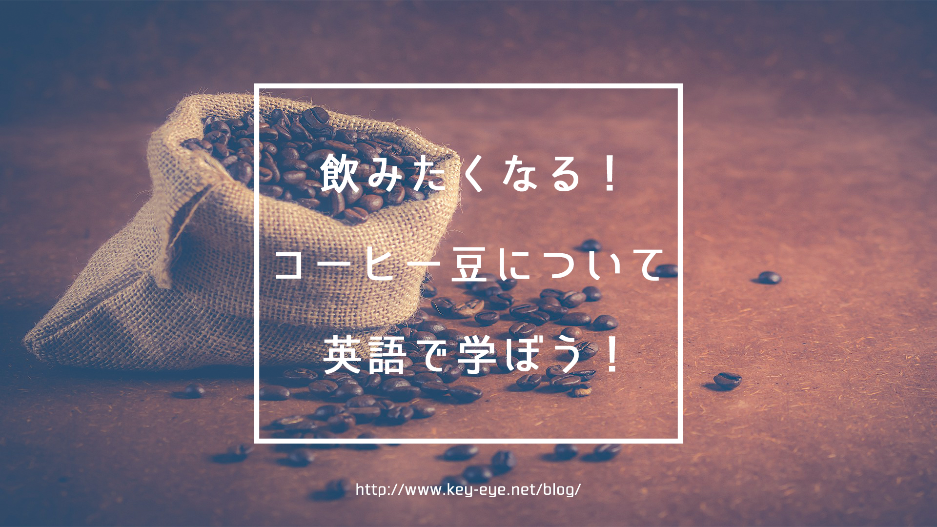 飲みたくなる コーヒー豆について英語で学ぼう Weekly ウィークリー